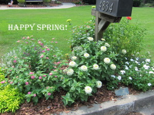 Mailbox Flowers